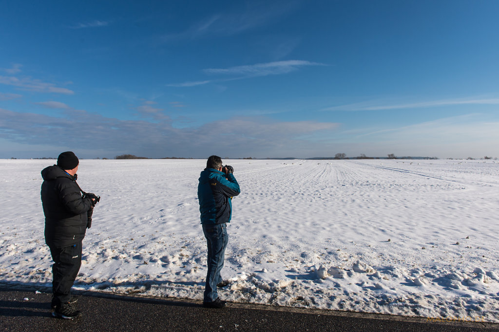 Schwanfotografen