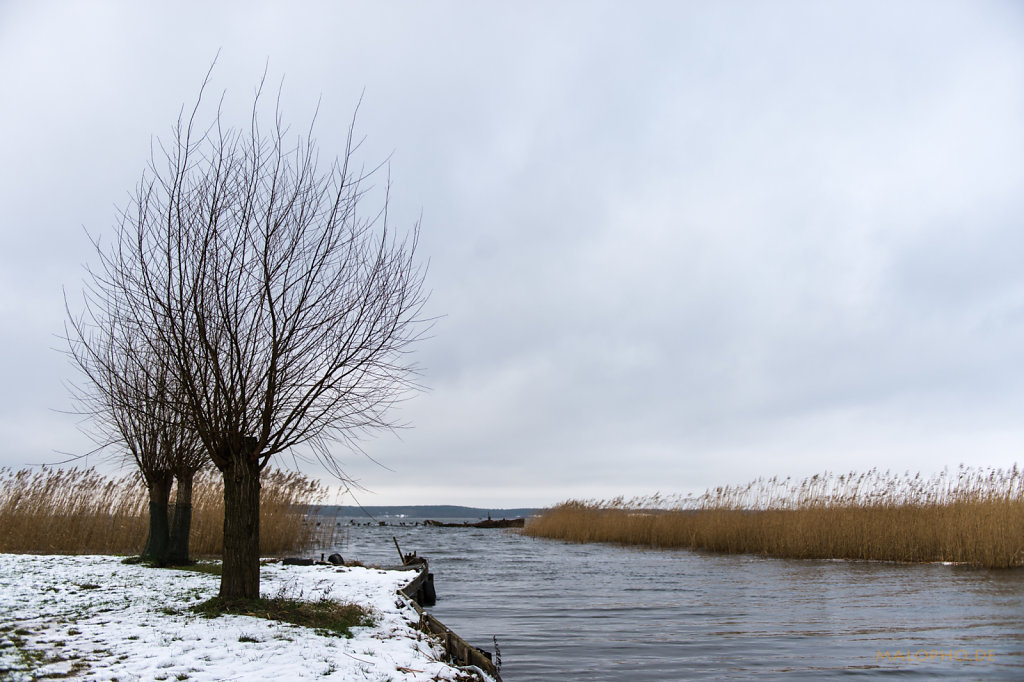 Warthe Winter