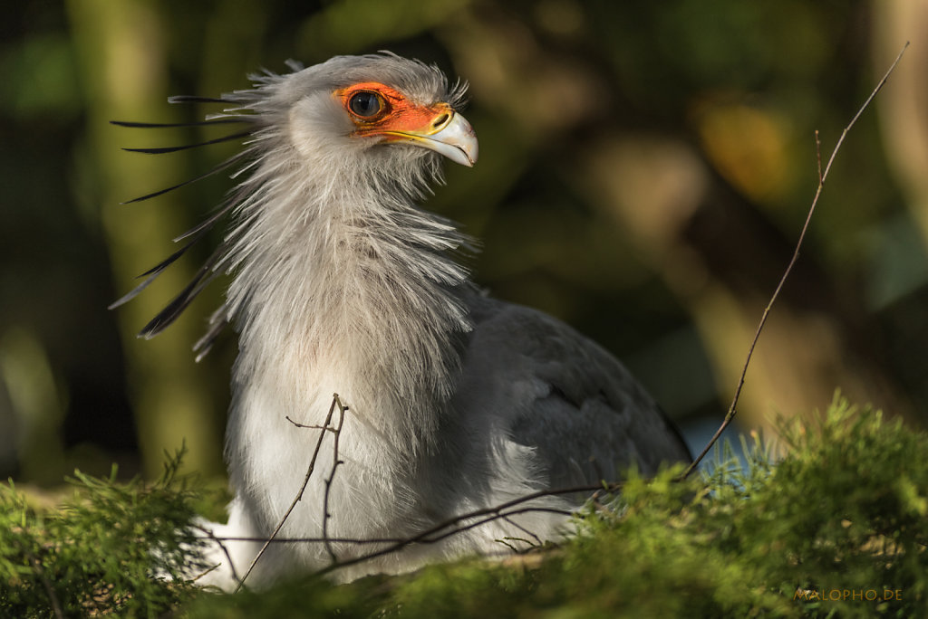 Sekretär-2