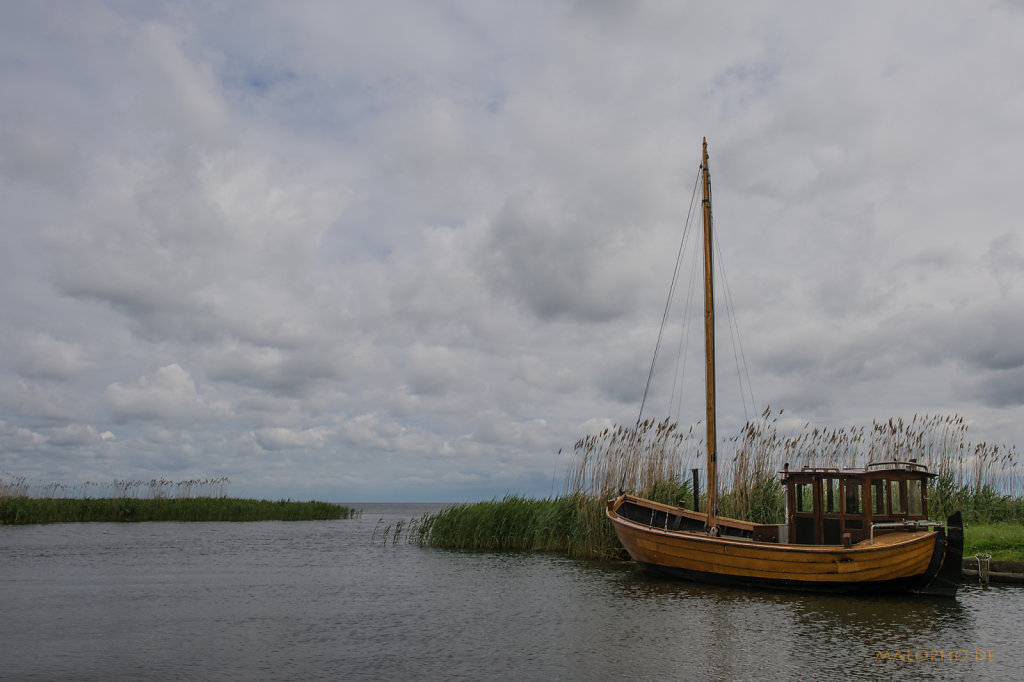 Im Schilfhafen