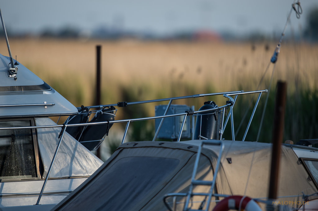 Hafen im Morgenlicht