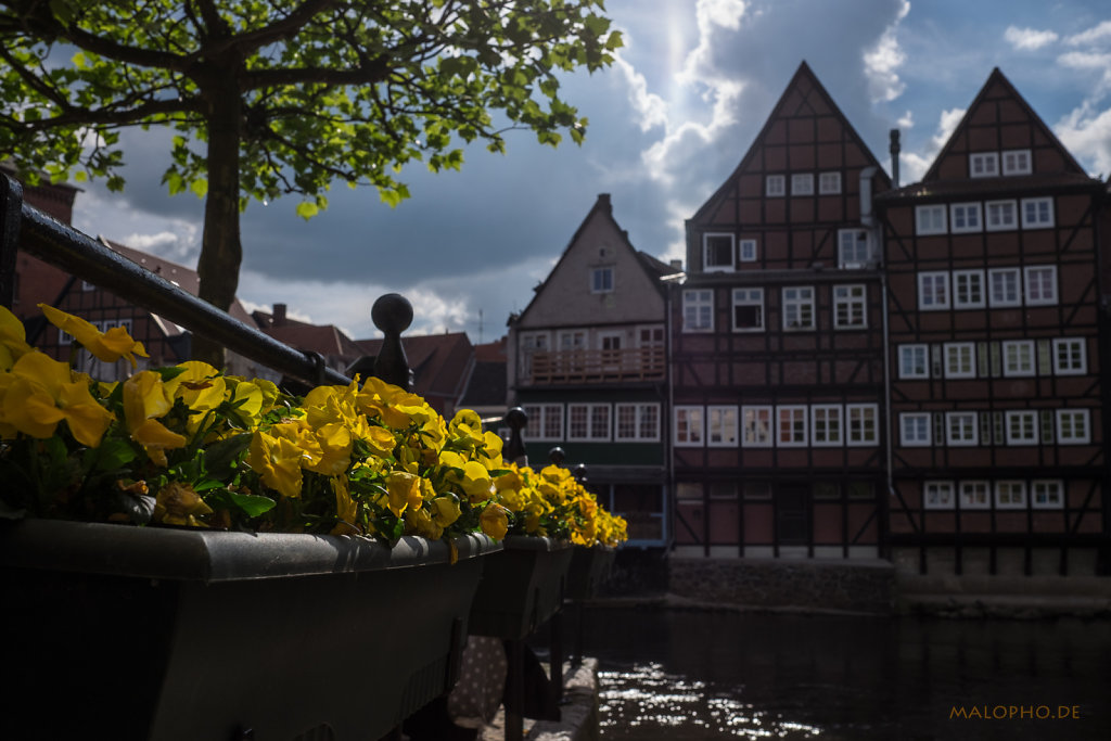 Lüneburg 2014