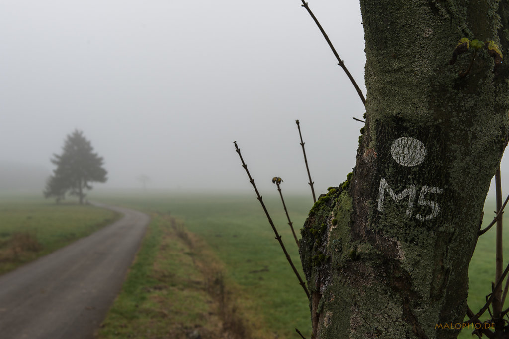 Mountainbiken