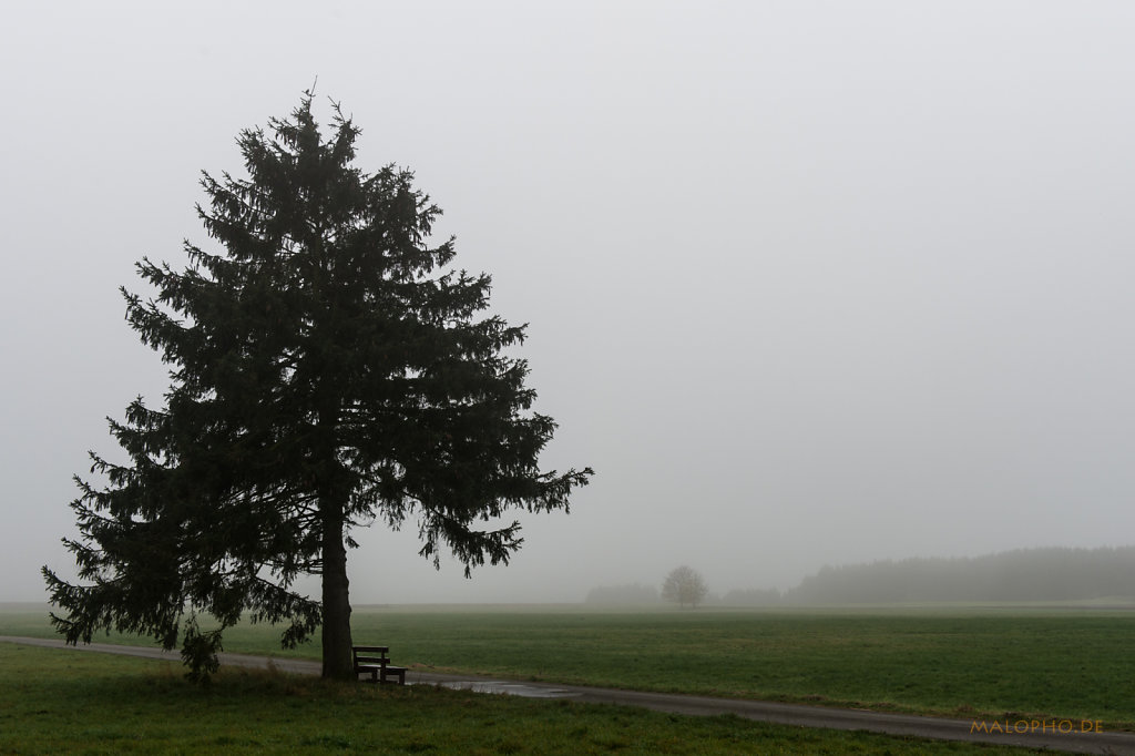 Rastplatz im Nebel-1