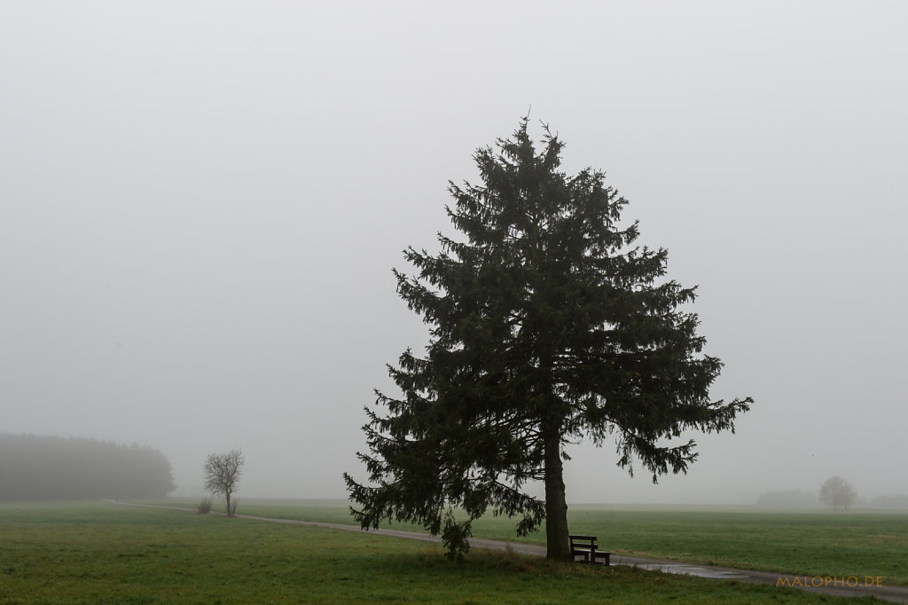 Rastplatz im Nebel-2