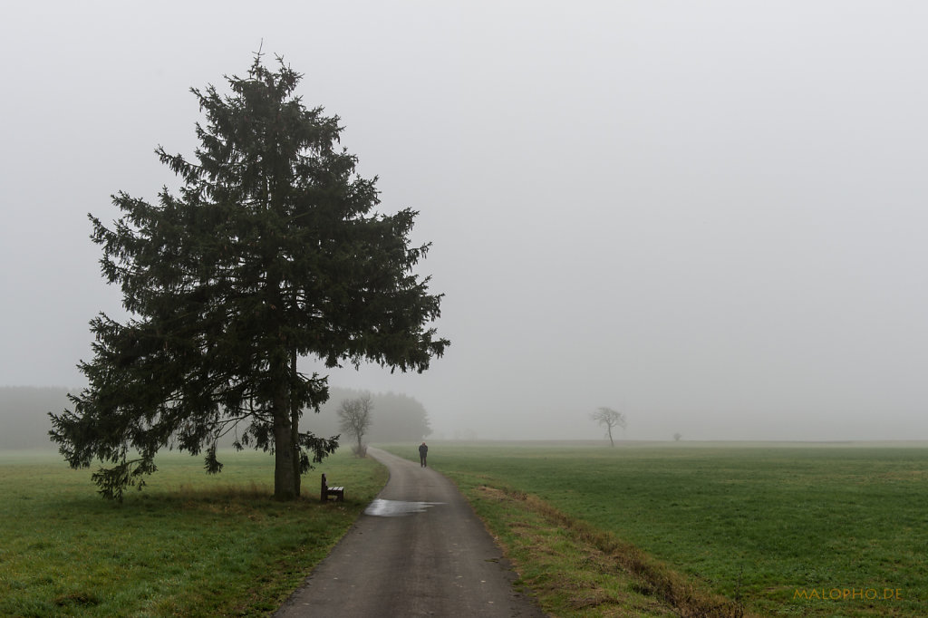 Rastplatz im Nebel-3