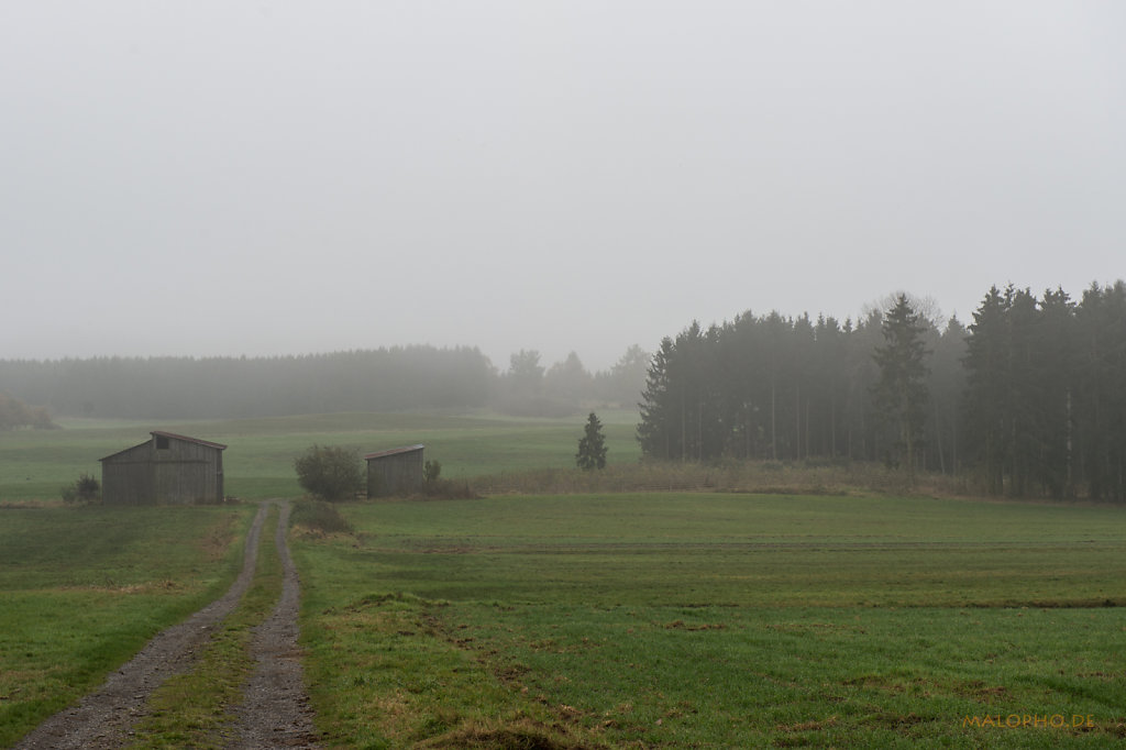 Wirtschaftsweg