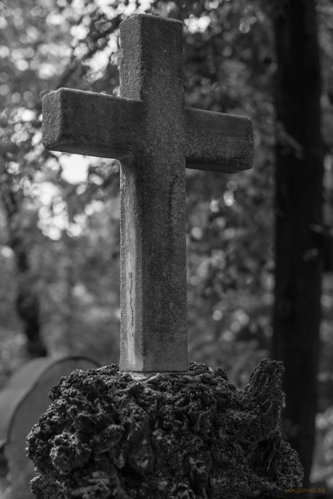 Baumkreuz
