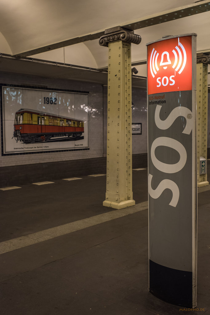 SOS vor Palmen