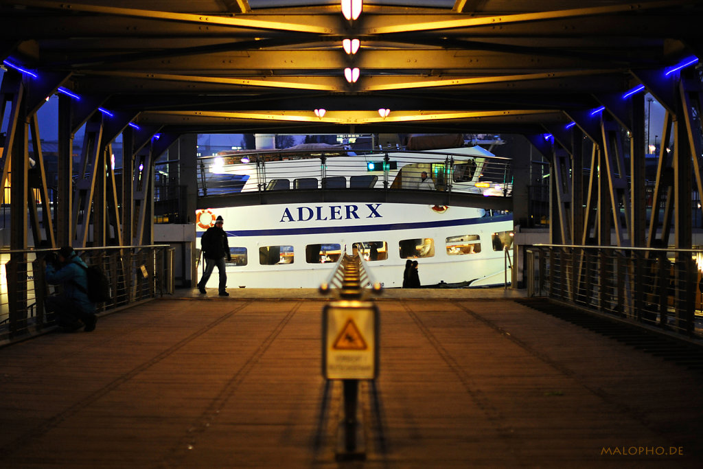 Adler X