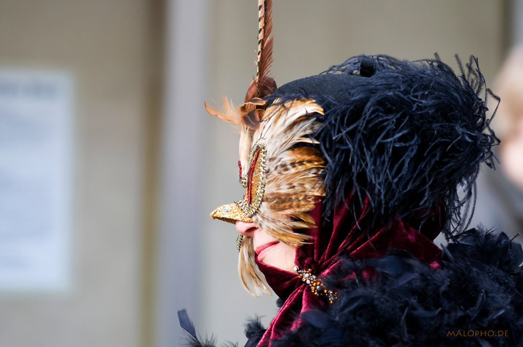 Vogelprofil