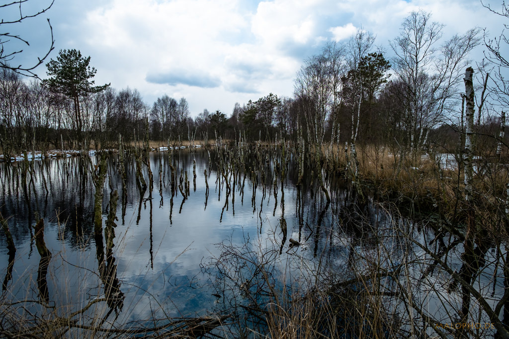 Birkenwasser 2