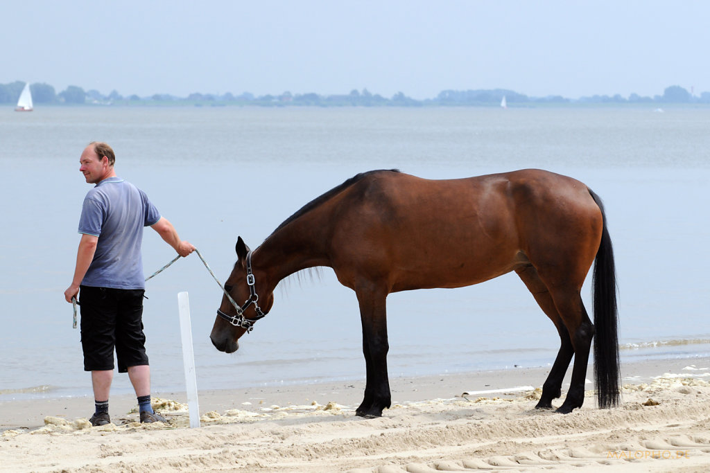 Strand testen