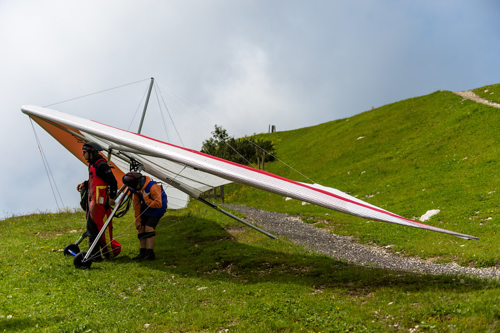 Paraglider
