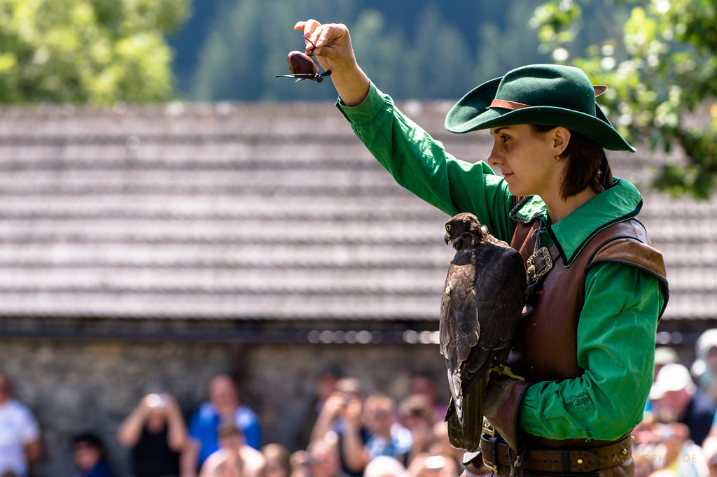 Hohenwerfen