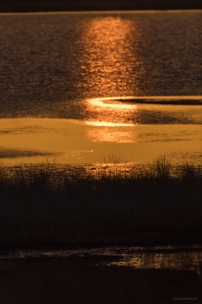 Goldene Spiegelung