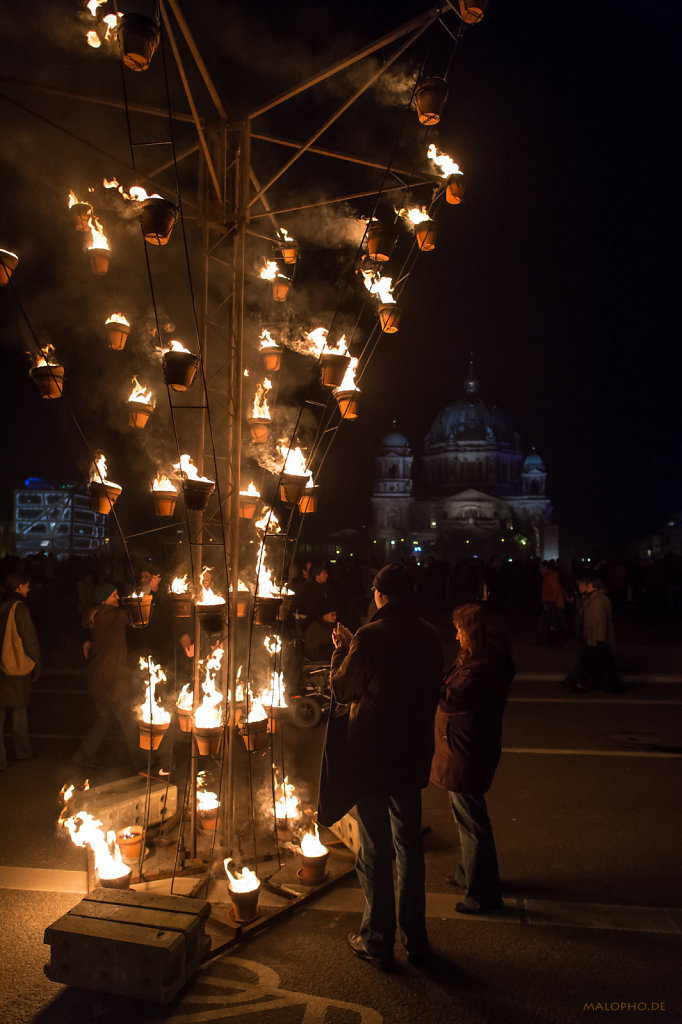 Feuerbaum Foto