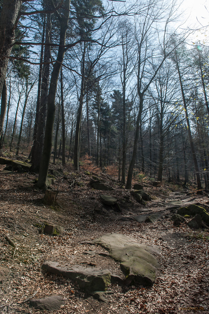 Schlosswald