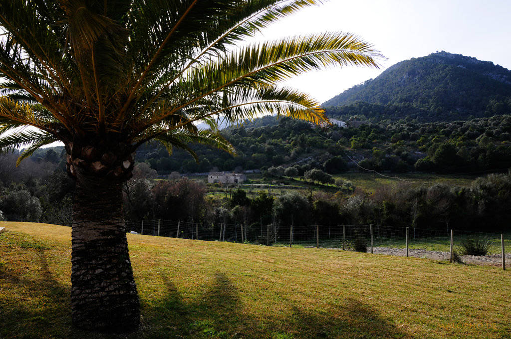 Ausblick