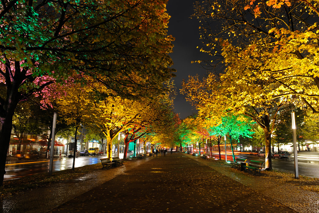 FoL Unter den bunten Linden