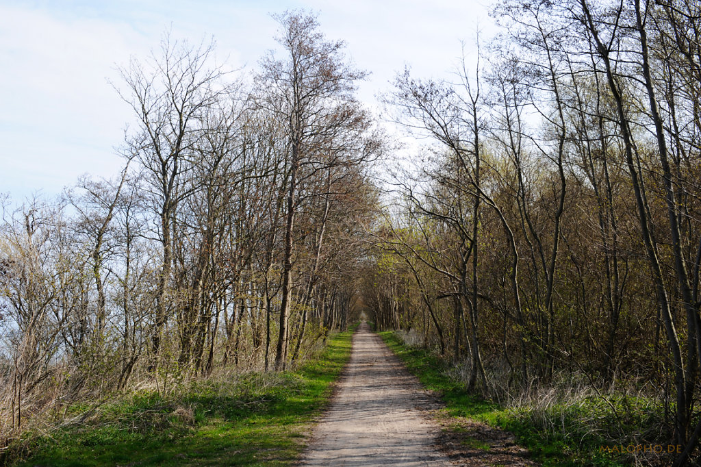 Uferweg