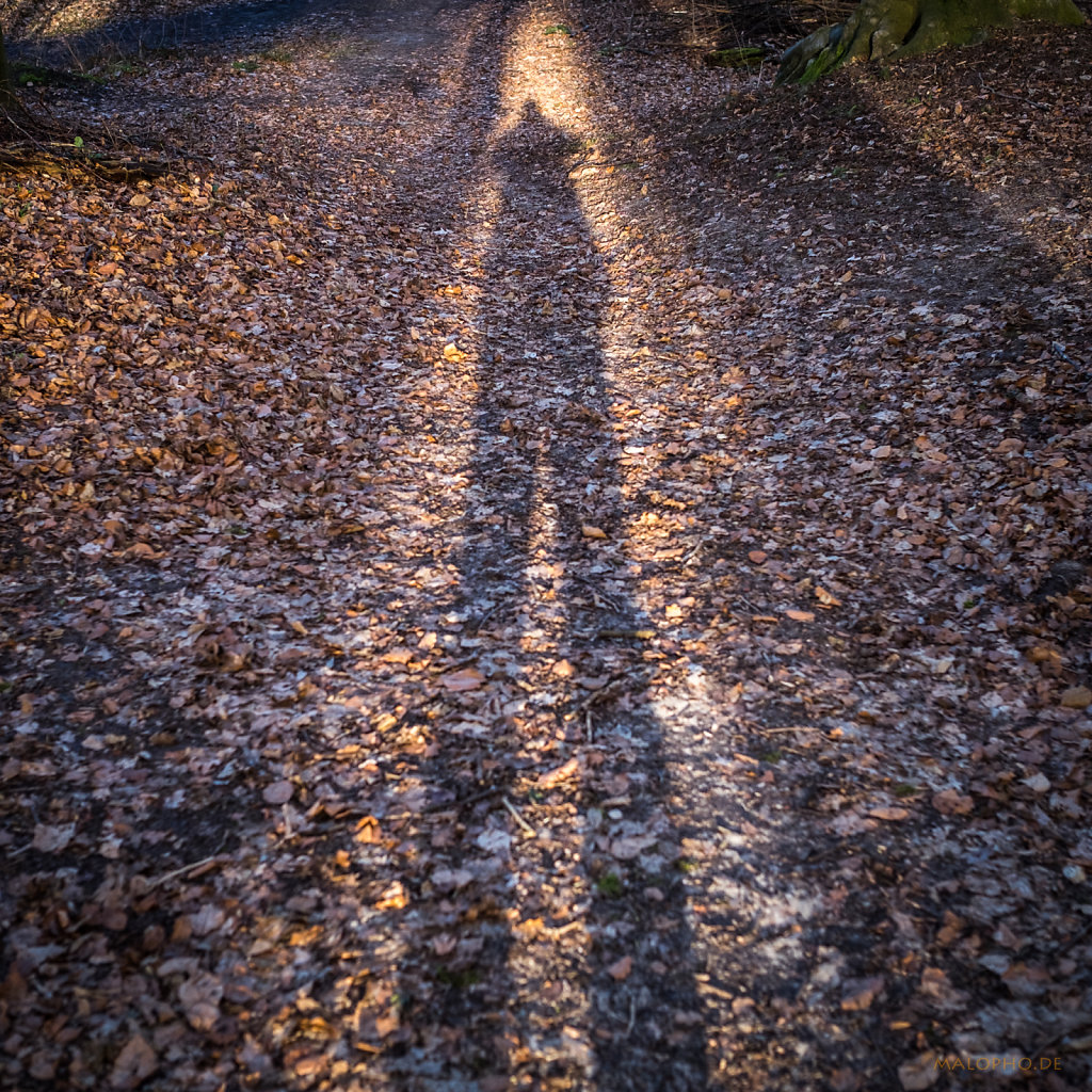 Schattenselfi