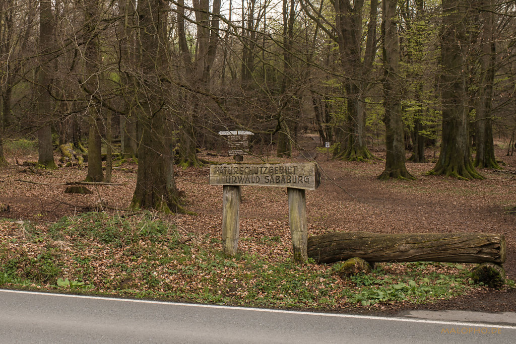 Urwaldschild