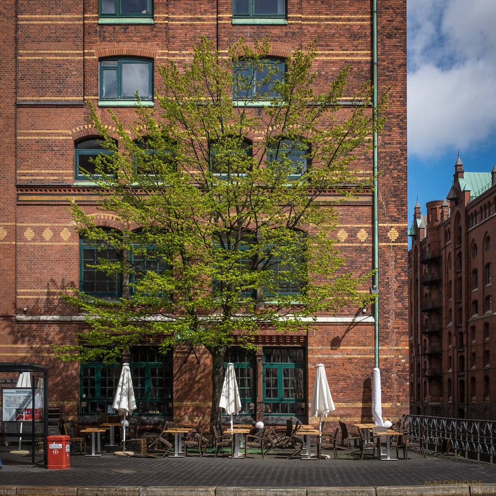 Frühling in der Speicherstadt