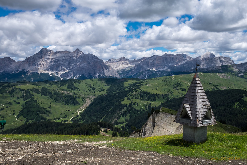 Blick auf die Almwiesen