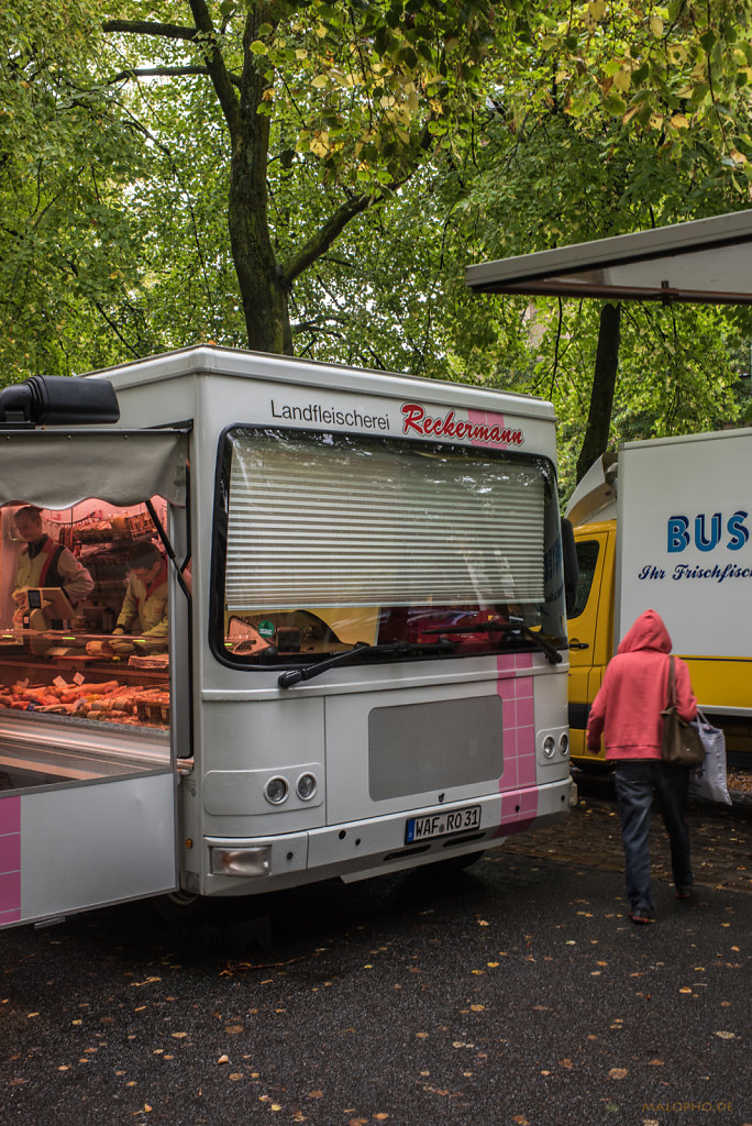 Pink Bus