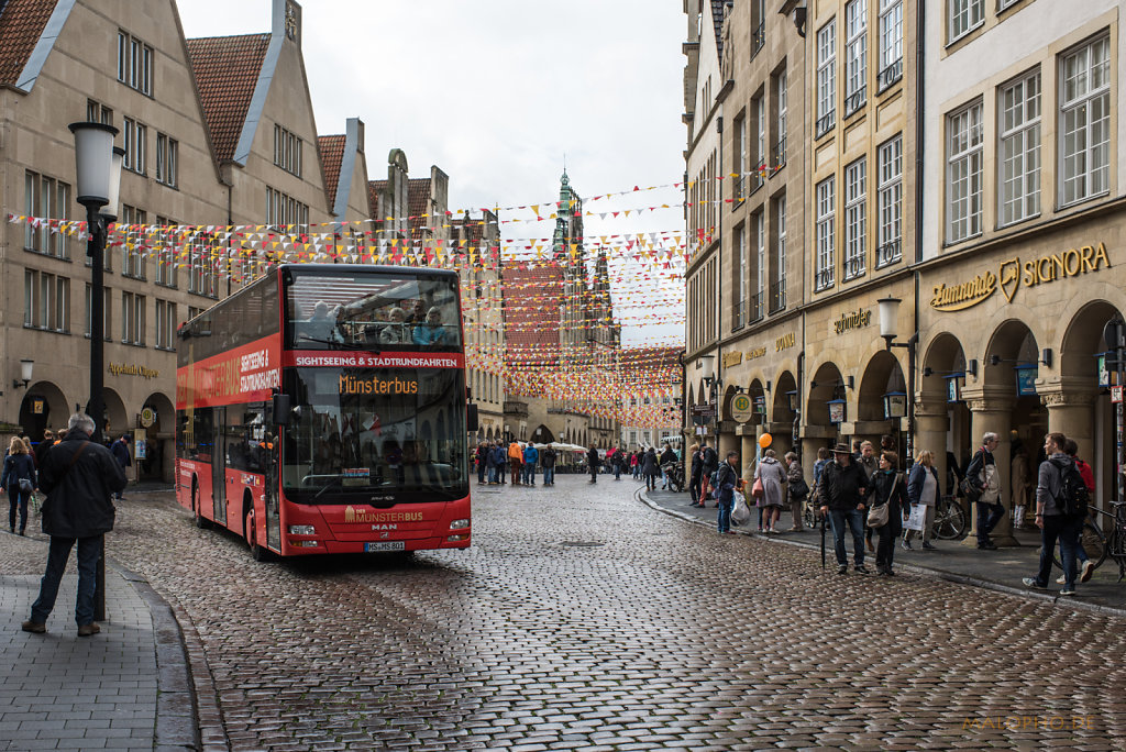 Münsterbus
