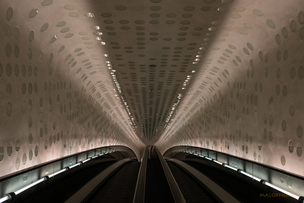 ElphiTube-2
