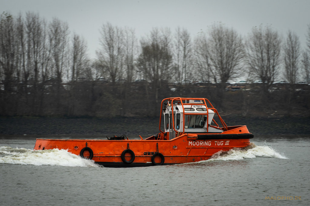 Mooring Tug-1