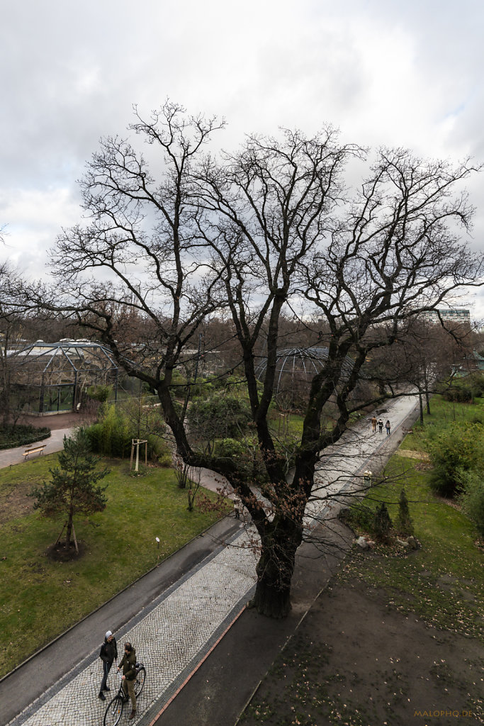 Zoologischer Garten