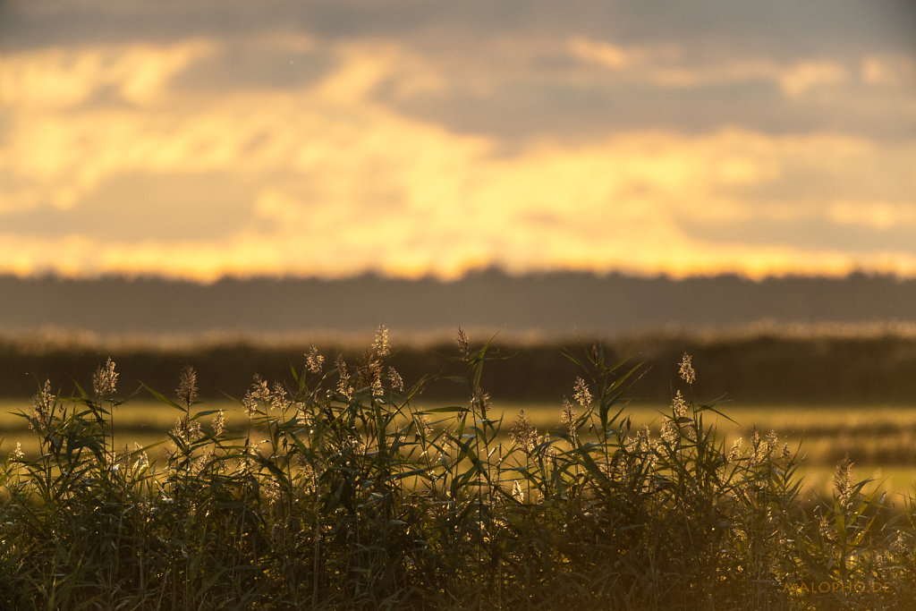 Abend Einflug