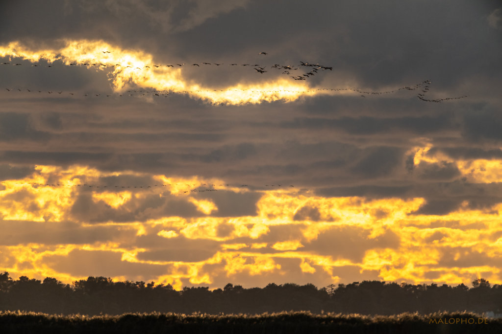 Abend Einflug