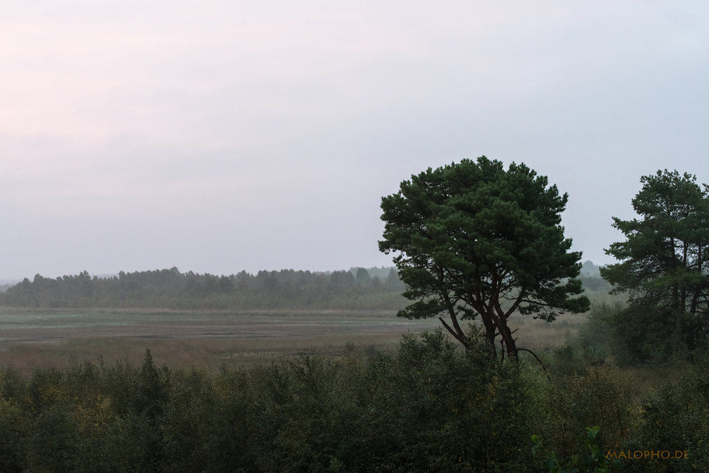 Torfabbaulandschaft