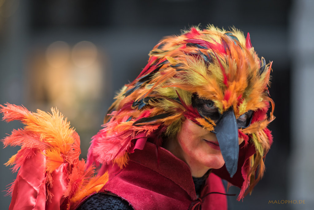 Feuervogel