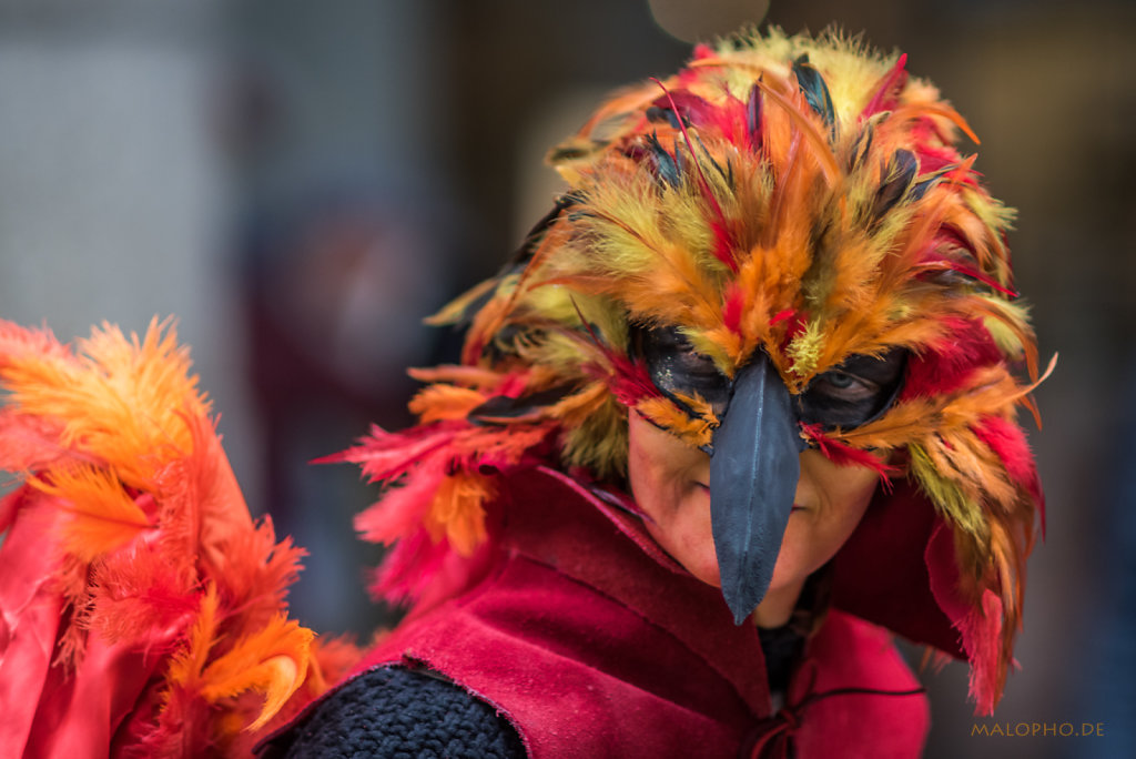 Feuervogel