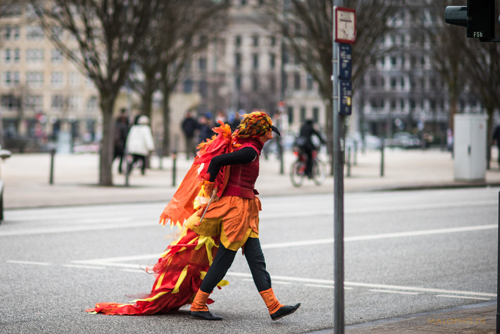 Feuervogel