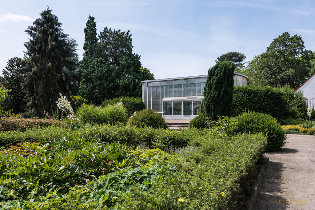 Schaugewächshaus
