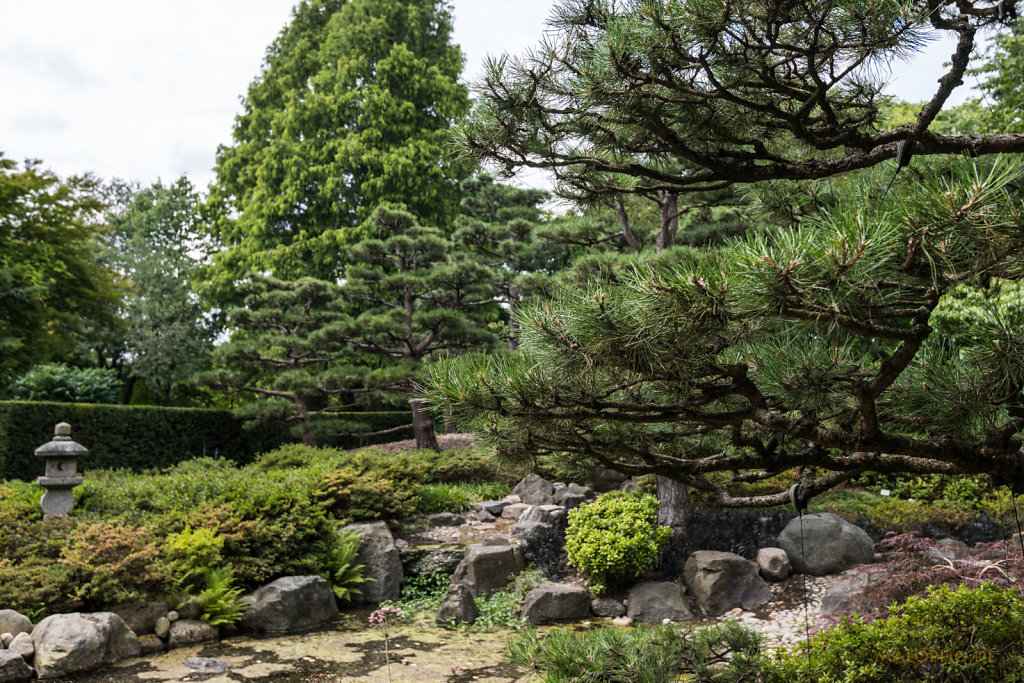 Japanischer Garten-2