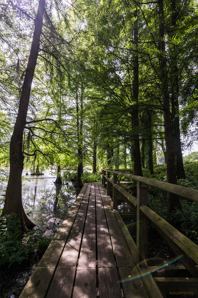 Waldsee