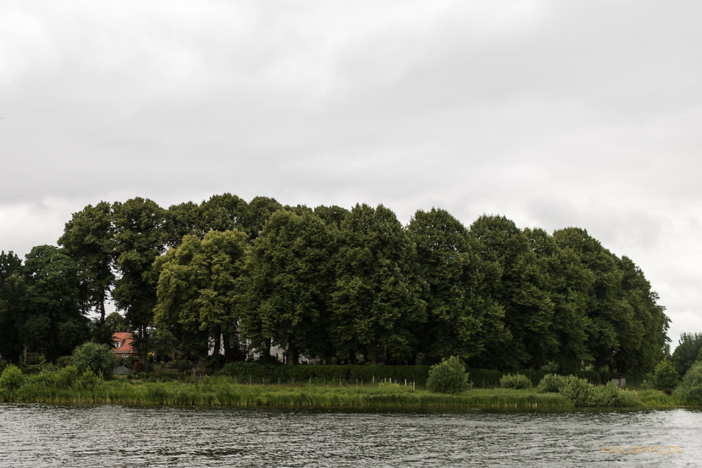 Kirche hinter Bäumen