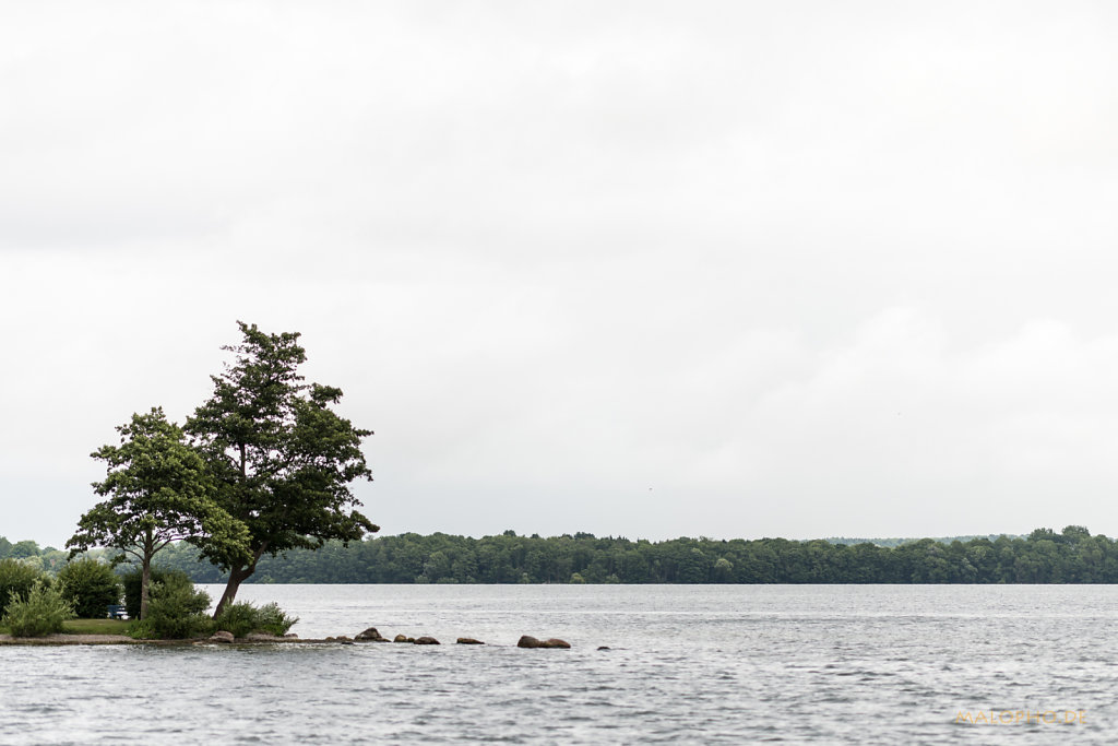 Ein Baum und der See