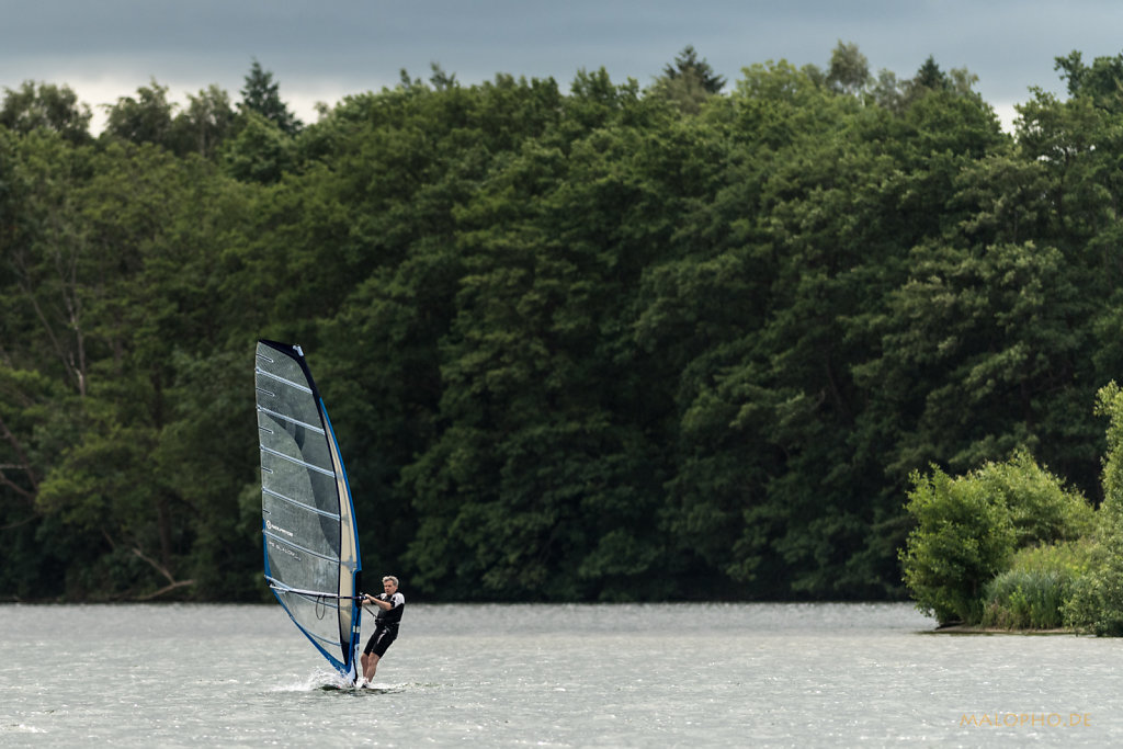 Windsurfer