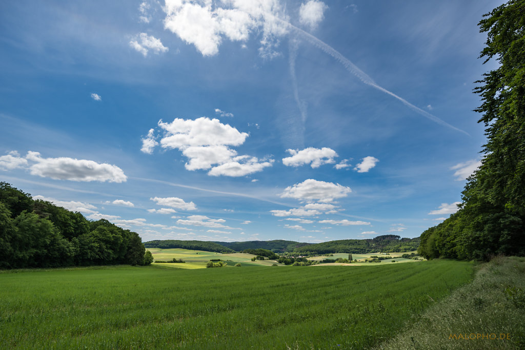 Damshausen Wiesen