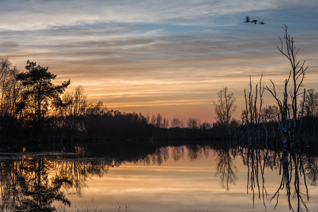 Stimmung Elmer See