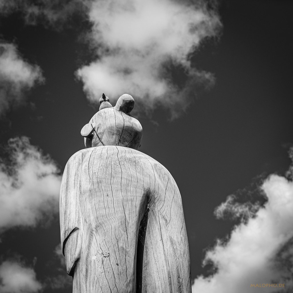 09 | 25 - Wolkengucker