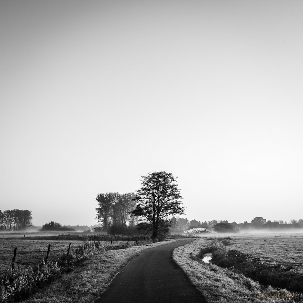 11 | 08 - Bürgermeisterweg